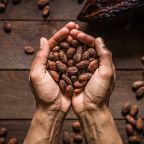 Beneficios del cacao para tu vida